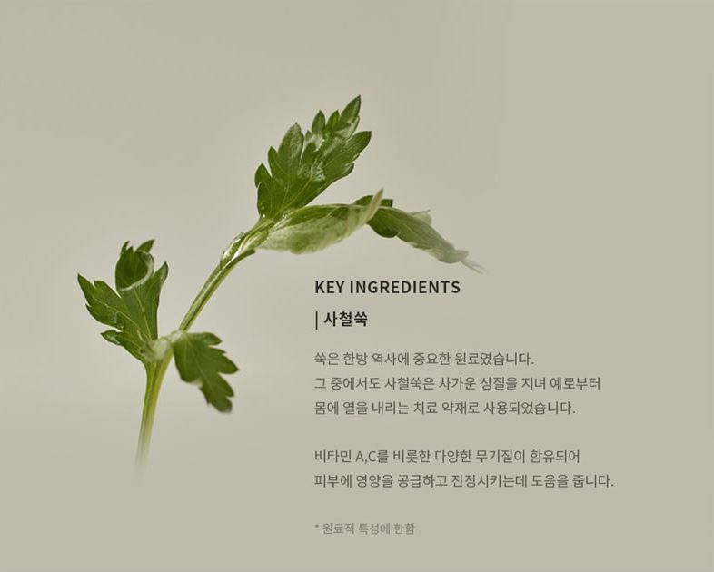 Beauty of Joseon Matte Sun Stick SPF Mugwort + Camelia